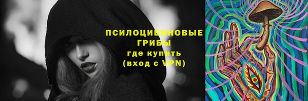 эйфоретик Алзамай
