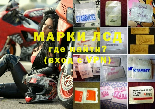 эйфоретик Алзамай