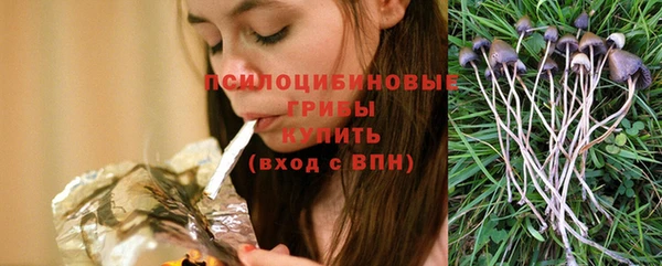 эйфоретик Алзамай