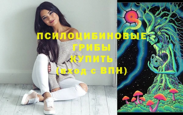 первитин Мегион