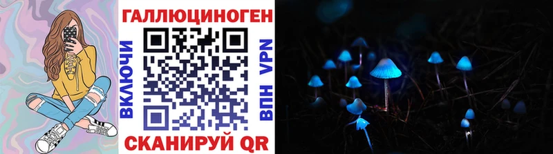 Псилоцибиновые грибы Psilocybe  Томск 