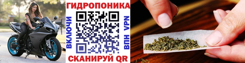 купить закладку  Томск  даркнет какой сайт  Шишки марихуана AK-47 
